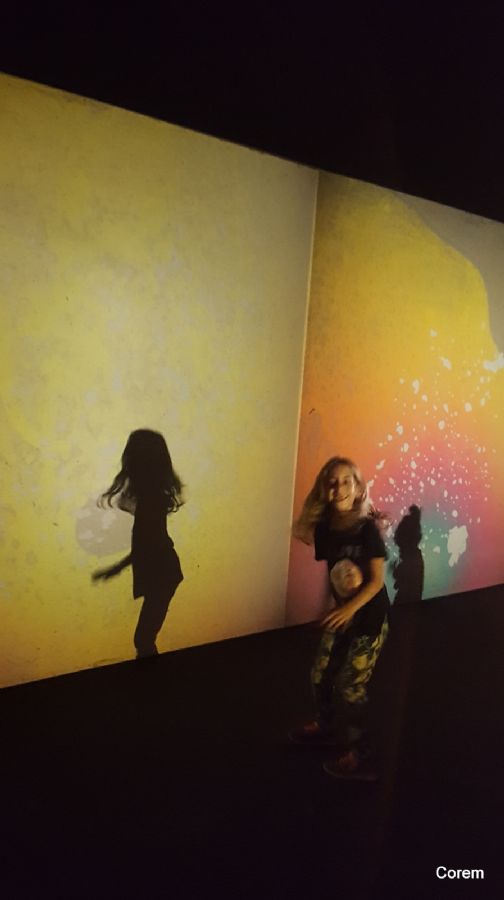 משתוללים בצבע וצל במוזיאון טייט מודרן